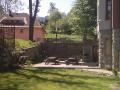 Ogród